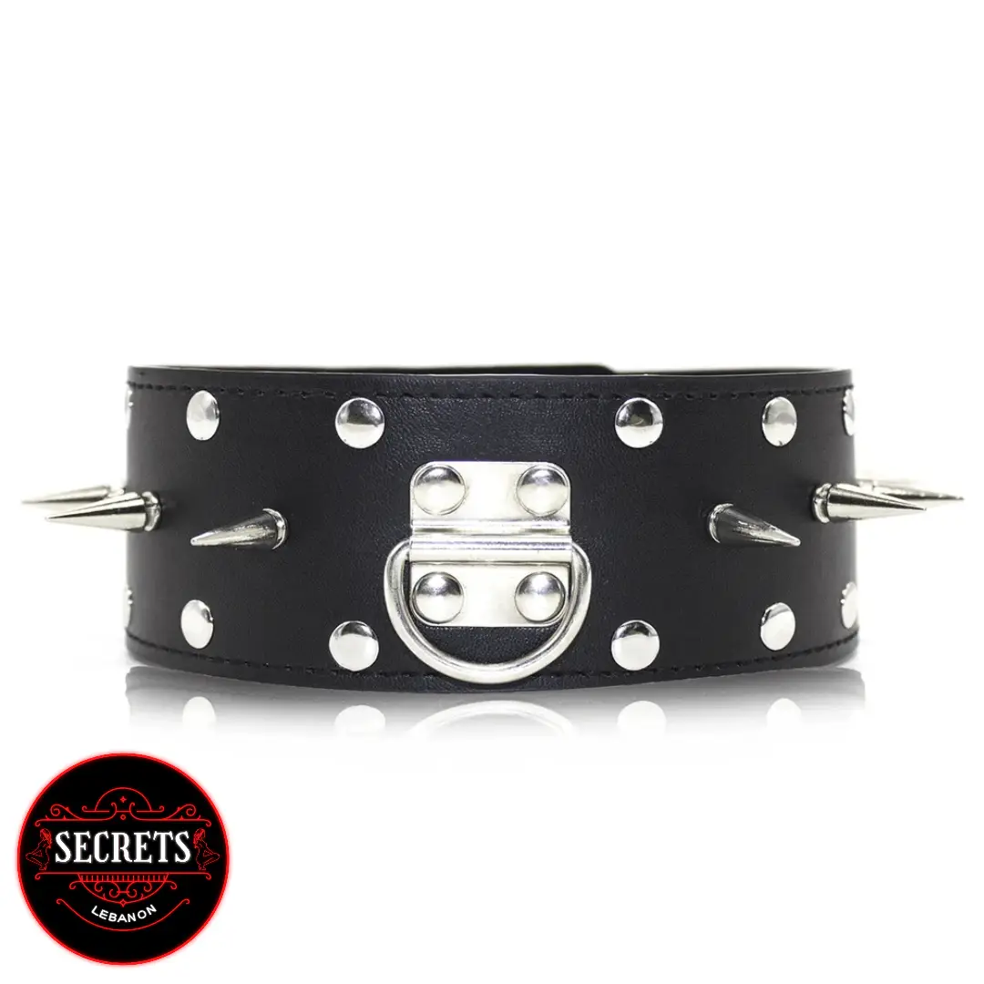 Pet Play Collar Lebanon
