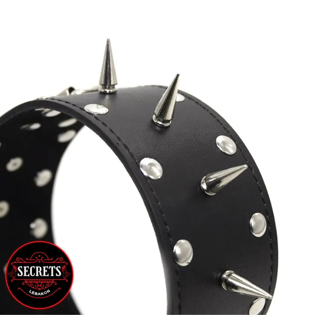 Leather Collar And Leash Lebanon