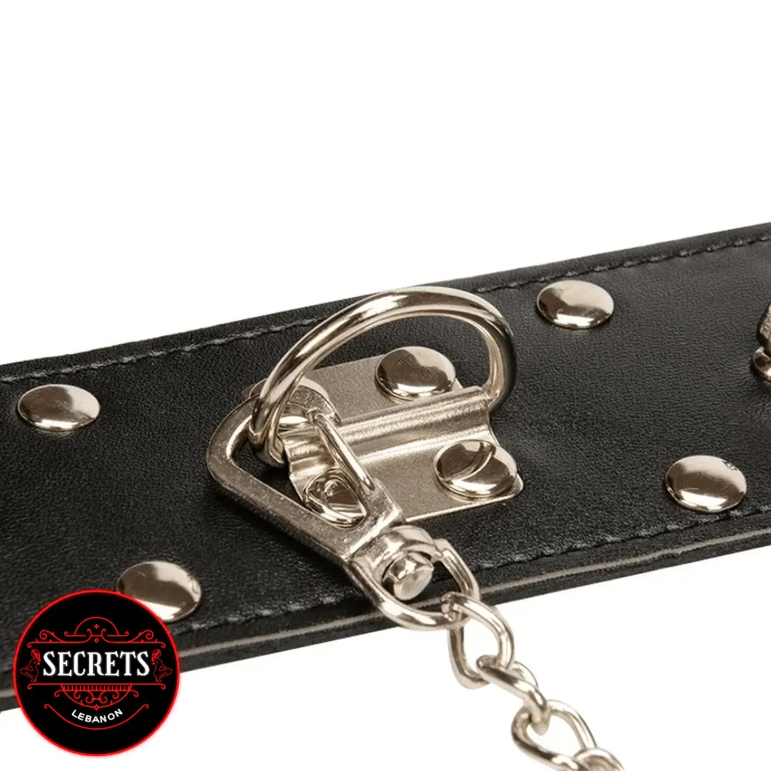 Pad lock Collar Lebanon