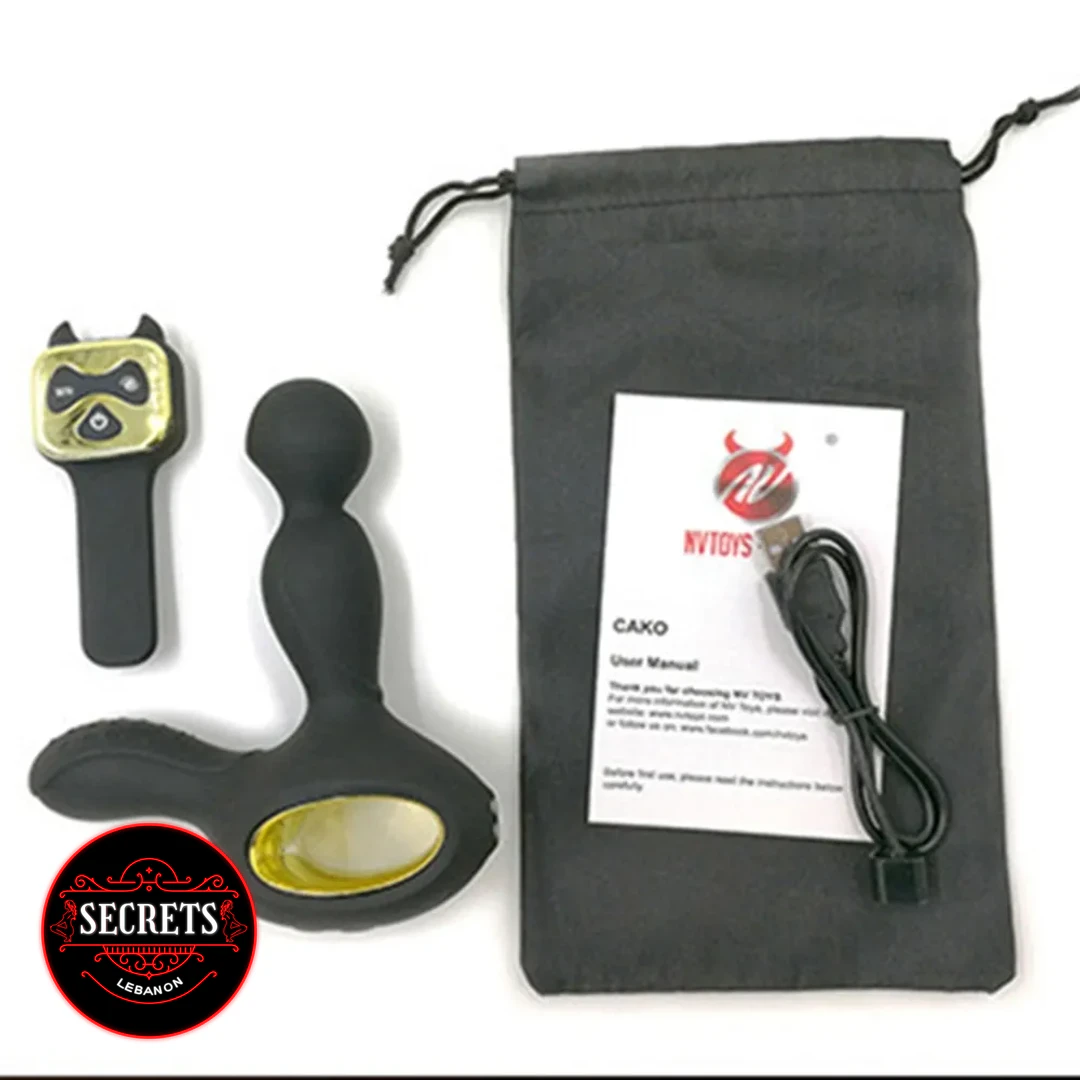 15 Mode Heating Rotating Prostate Vibrator with remote, USB cable, and pouch