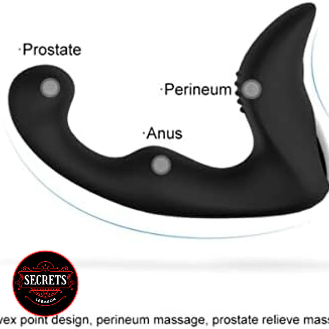 Landy Silicone Prostate Massager diagram showing prostate, anus, and perineum zones