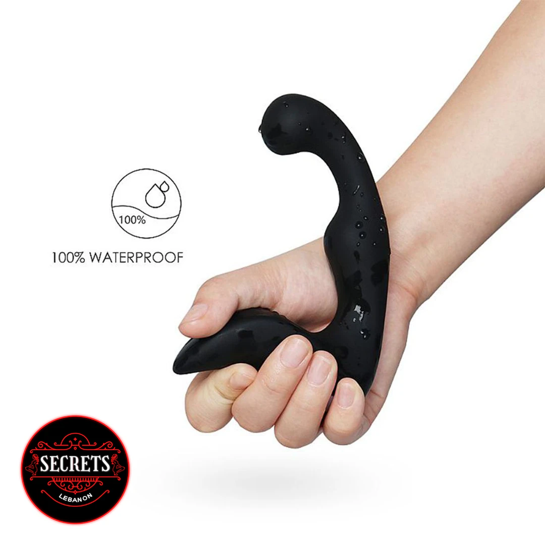 Landy Silicone Prostate Massager held in hand showing wet black curved design