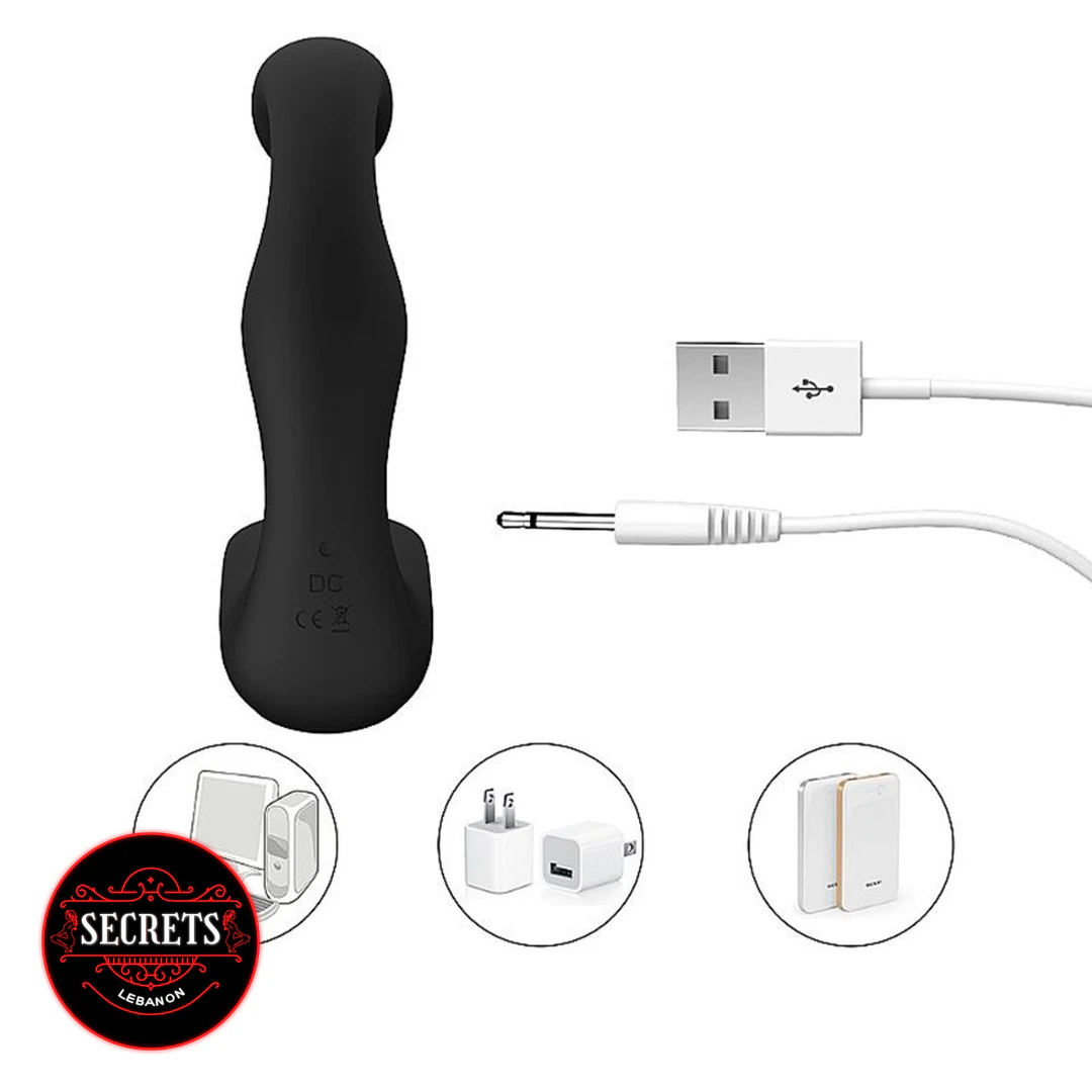 Landy Silicone Prostate Massager in black with USB charging cable included