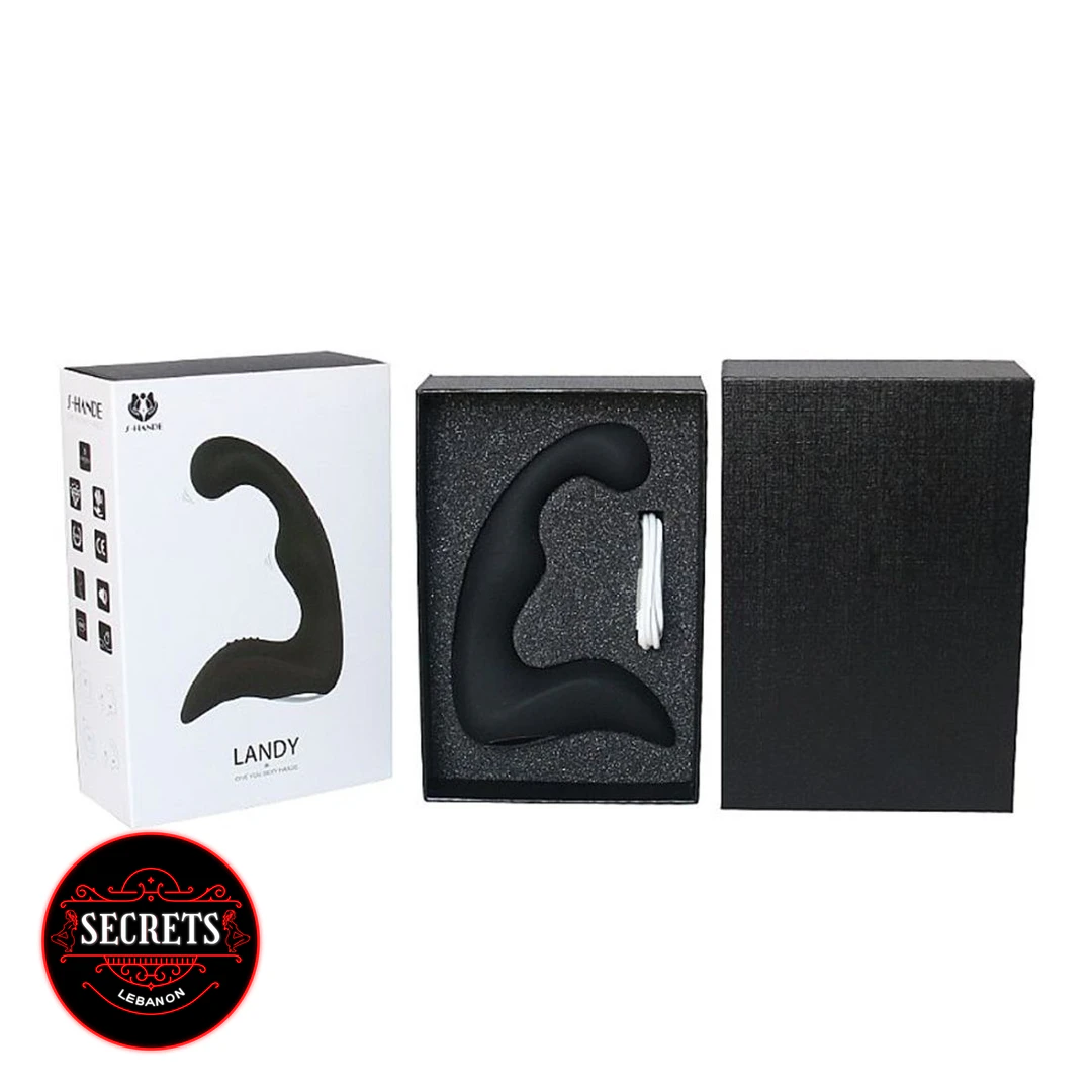 Landy Silicone Prostate Massager displayed in open black foam-lined packaging box