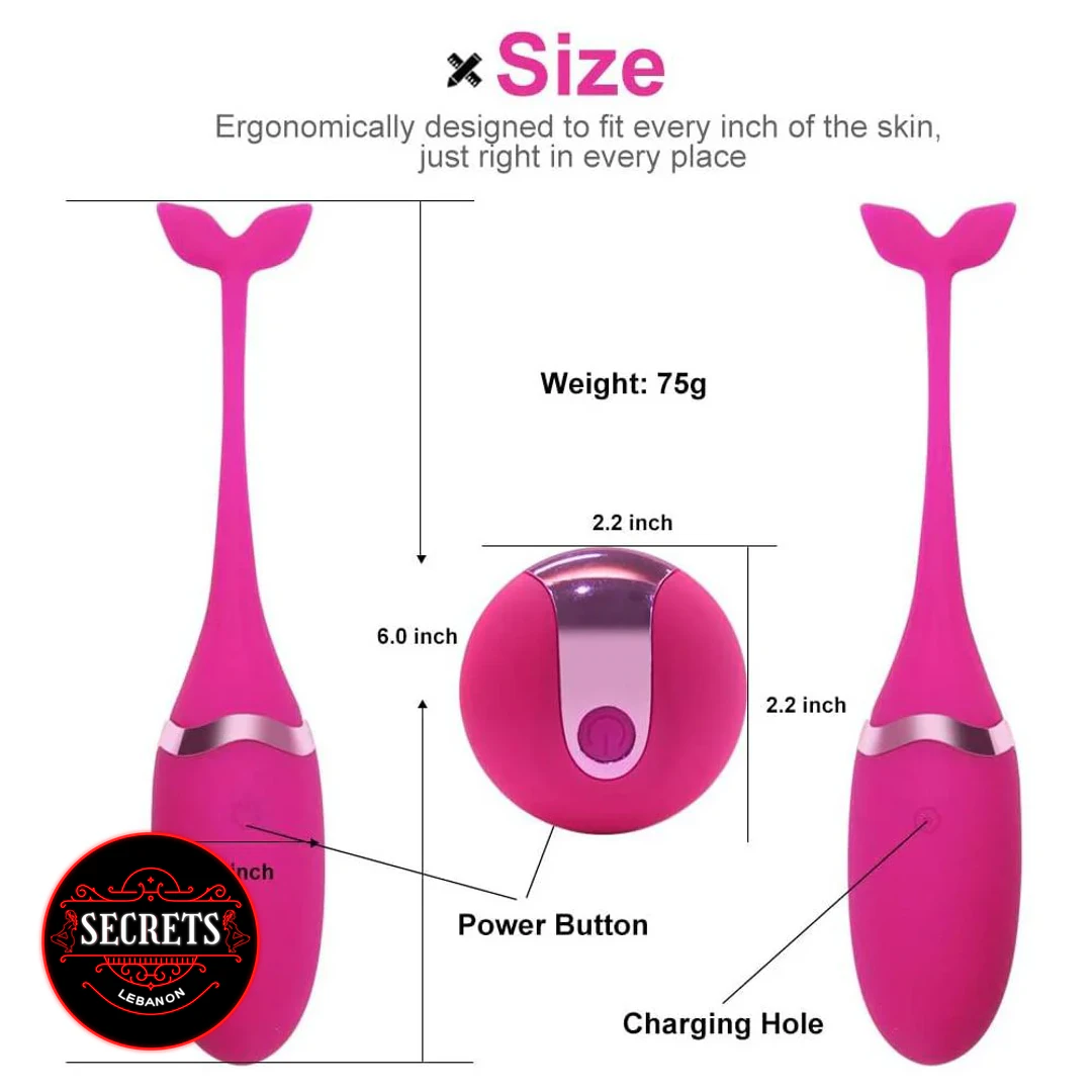 Remote Control Egg Vibrator size diagram with pink silicone toy and remote