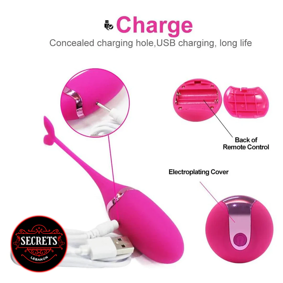 Remote Control Egg Vibrator in pink showing USB charging cable and remote