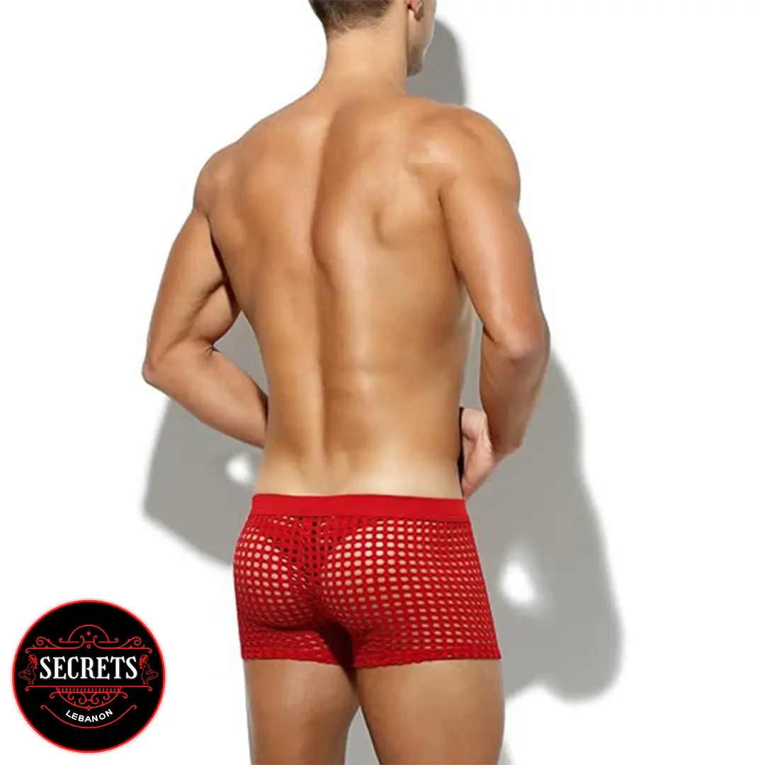 Sheer Red Mesh Lingerie Boxers rear view on male model white background