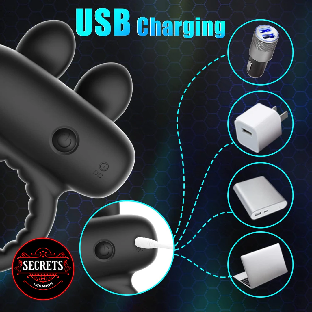 10 Modes Rabbit Ear Cock Ring USB charging compatibility shown on dark background