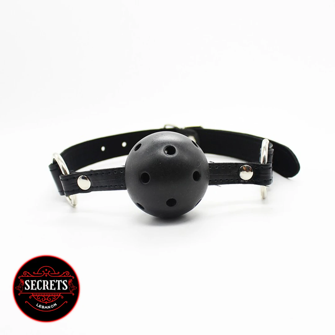 7 Piece Beginners BDSM Kit black perforated ball gag with leather strap