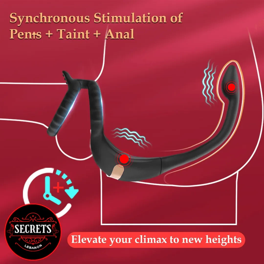 DualStrike Silicone Anal Hook Cock Ring black multi-stimulation diagram on red background