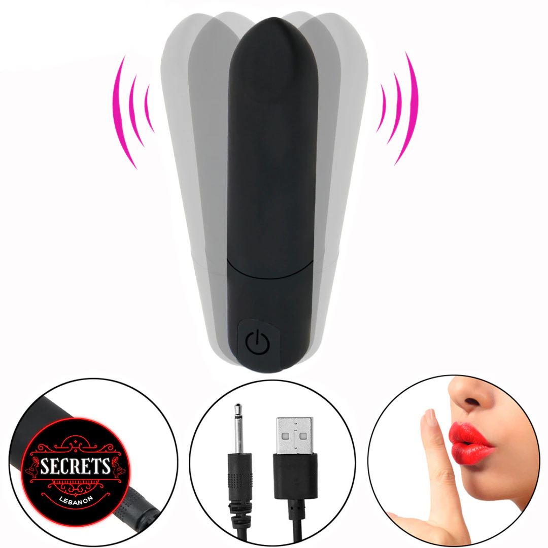 Precision Discreet Multi Speed Bullet Vibrator black with USB charging cable shown