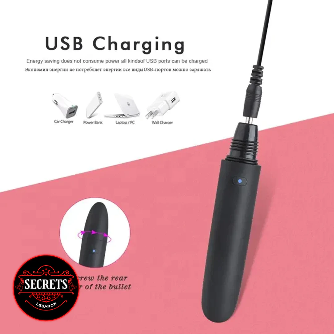 StealthBrush 10 Mode Vibrator black bullet with USB charging cable attached